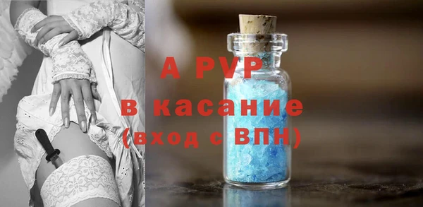 сатива Грязи